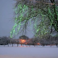 Guirlande Lumineuse Core Connect 10m 100 LED Verte Câble Transparent Raccordable 7 Guirlande Lumineuse Core Connect 10m 100 LED Verte Câble Transparent Raccordable -Light4fun Boutique ML100GC Green LED Connectable Fairy Lights Christmas Tree P3