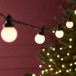 Guirlande Guinguette Pro Connect IP67, 5m 10 LED Blanc Chaud Câble Noir Raccordable