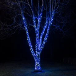Guirlande Lumineuse Pro Connect 10m 100 LED Bleue Et Blanche Câble Noir Raccordable